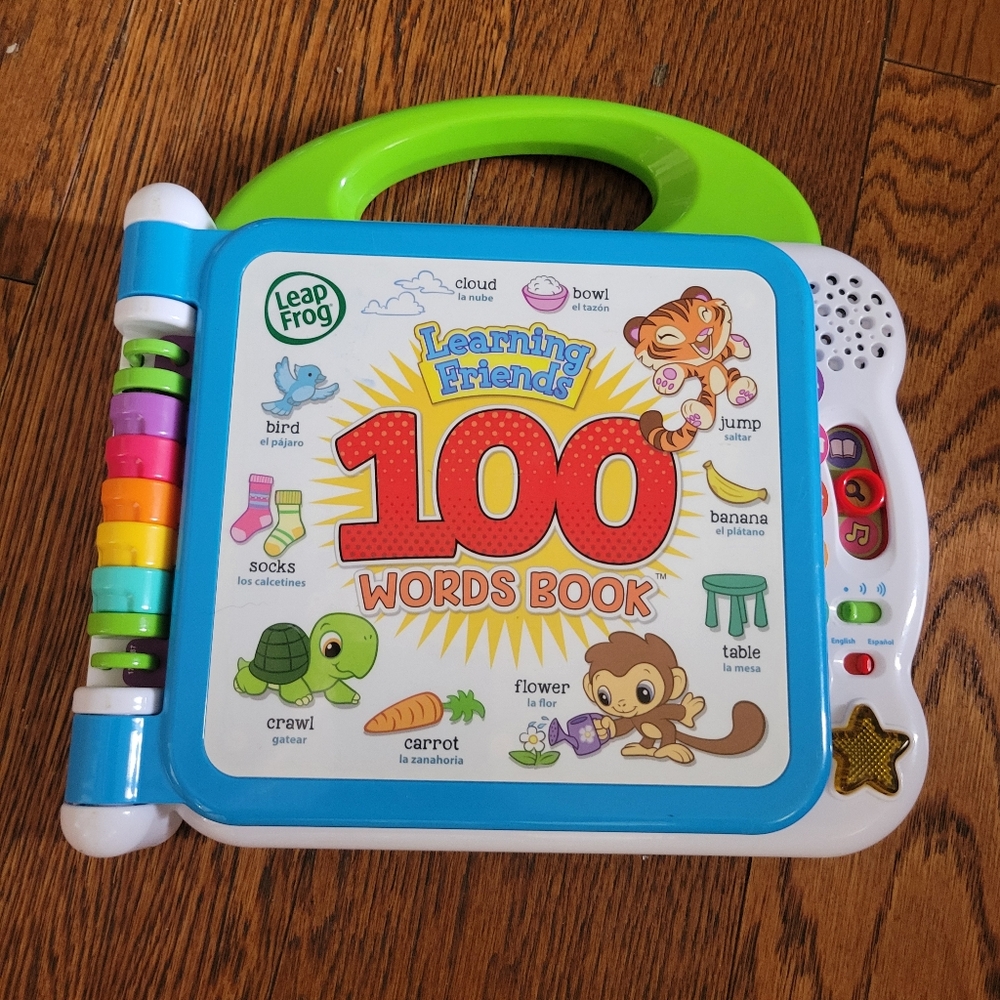 Learning Friends 100 Words Book - Green and Blue